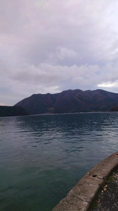 渋い季節になって来た