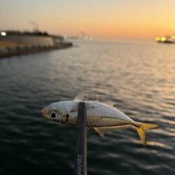 娘とちょい投げ釣り!