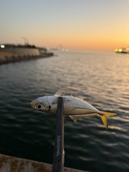 娘とちょい投げ釣り!