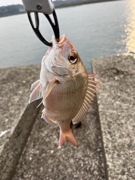 初ポイントにて