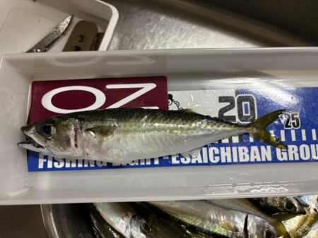 年末大感謝祭に潜入