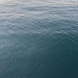 フロートアジング　