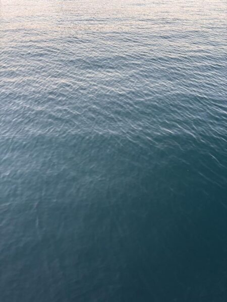 フロートアジング　