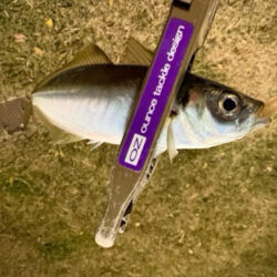 微妙なアタリが多くなってきた