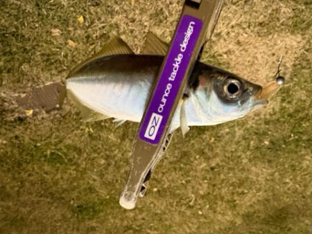 微妙なアタリが多くなってきた