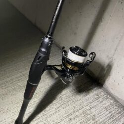 待ちわびたチヌ