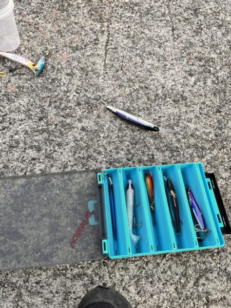 ショアジギングでサバ