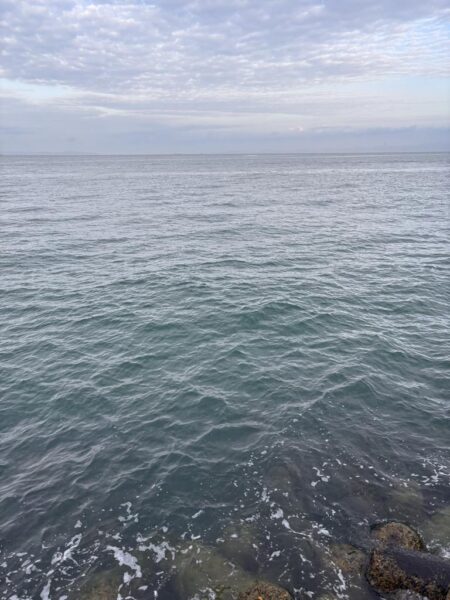 青物シーズン18