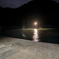 小雨で人がいないしアジもいない
