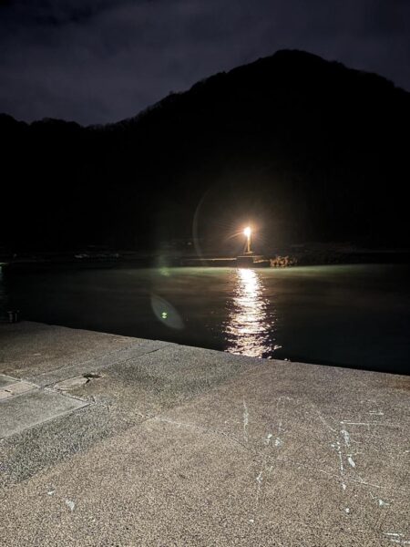 小雨で人がいないしアジもいない