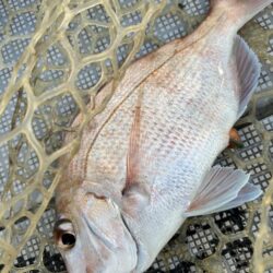 厳しかった釣り納め