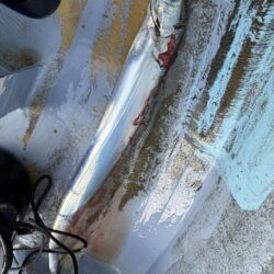 観音崎沖、タチウオジギング