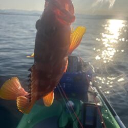 supフィッシング SLJ