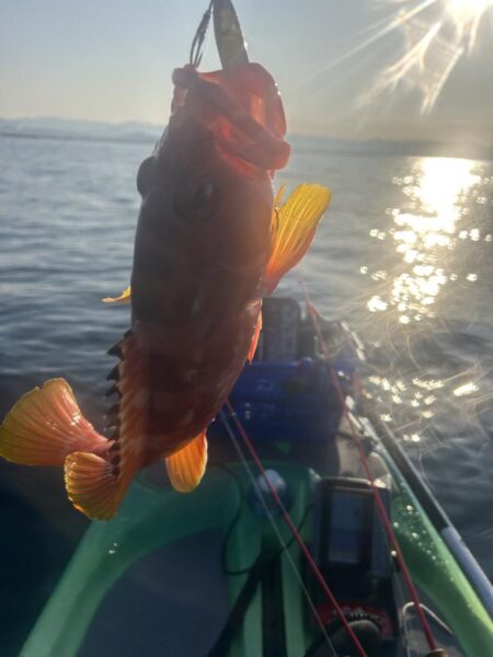 supフィッシング SLJ