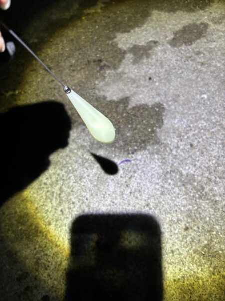 サバ、アジのフロートアジング