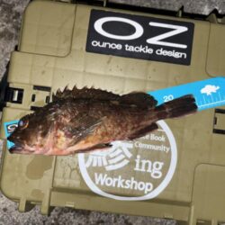 年末最後の釣行