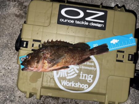 年末最後の釣行