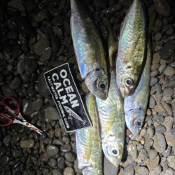 フロートアジング