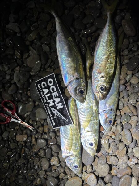 フロートアジング