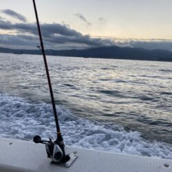 タイラバで冬鯛