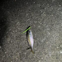 ボトムアジング