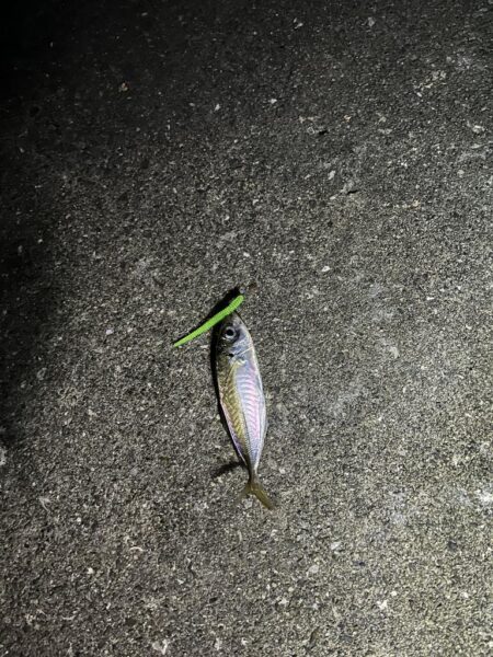 ボトムアジング