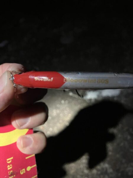 黄昏に行っただけだが、、、釣れた