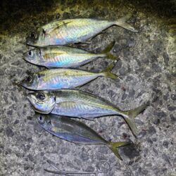 フロートアジング