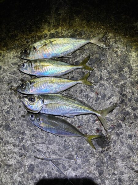 フロートアジング