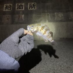 ひさびさ垂水漁港