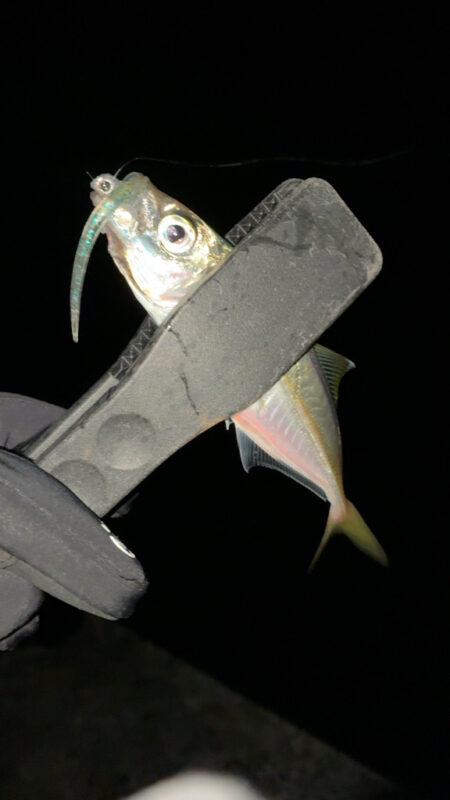 年末のアジング