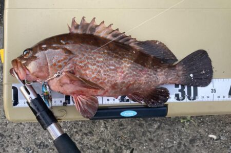 高級鍋食材逃がさないぞ！