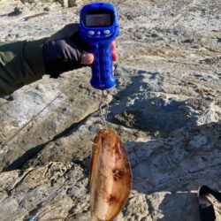 12月、ゲキ渋釣行ながらも釣れた1杯