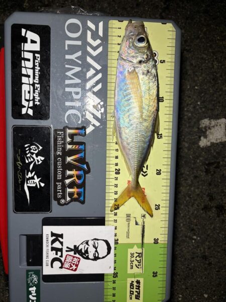 バチコンアジング