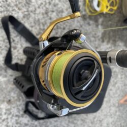 カマス釣果1日目