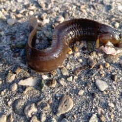 夕暮れ〜穴釣りとフカセ釣り