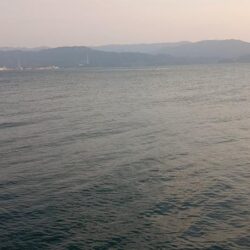 全然ダメでした