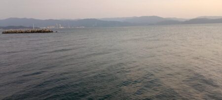 全然ダメでした