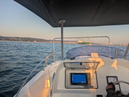 ヒラメ&コウイカ