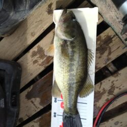 津久井湖初ボート