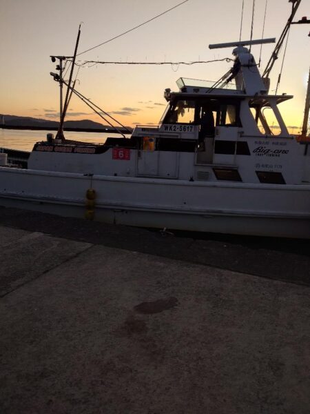 白甘鯛GETしたけど、渋かった