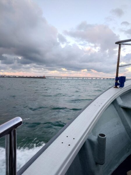 釣り納めはメジロ２匹