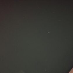 釣り納めで尺メバル