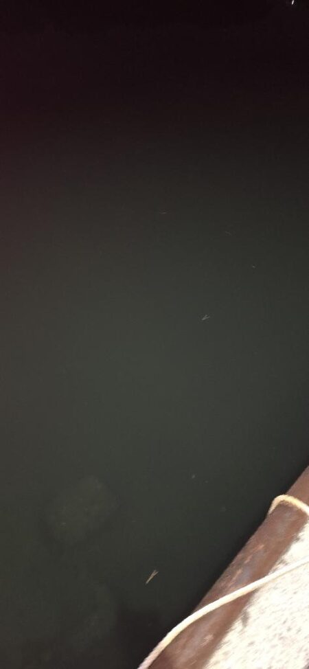 釣り納めで尺メバル