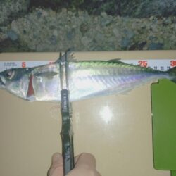 2025年フロートアジング納め