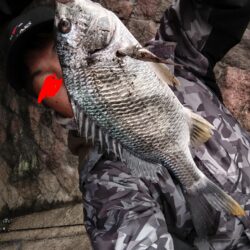 四魚種釣れました!