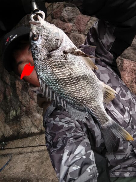 四魚種釣れました!