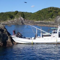 一年ぶりの投稿です