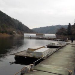 ワカサギ第2戦〜佐仲ダム・つ抜け〜