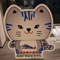 とりあえずアオリ13回目